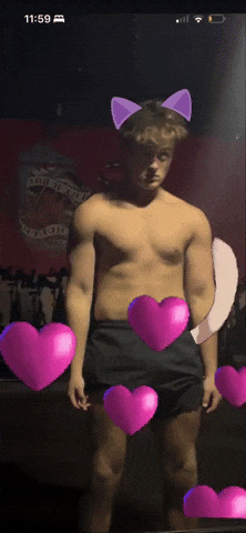 Cute Cat Logan GIF