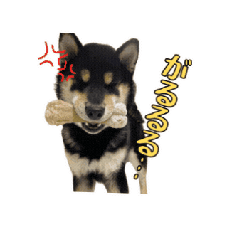 犬 柴犬 Sticker