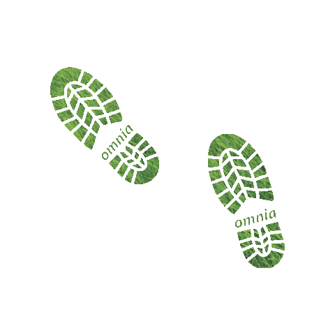 OMNIA BRASIL Sticker