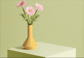 Photoshop GIF
