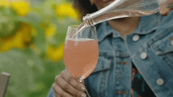 200.gif?cid=fc005b0844aaff13090464f9e4948e15e293d4687c7c08de&rid=200.gif&ct=g