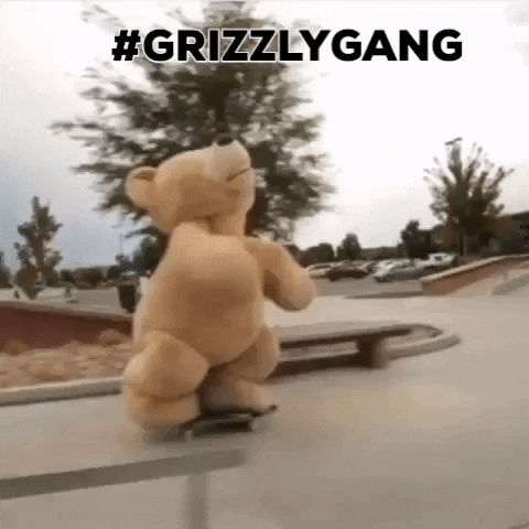 The Bear And The Gang Bear GIF - The Bear And The Gang Bear Gang