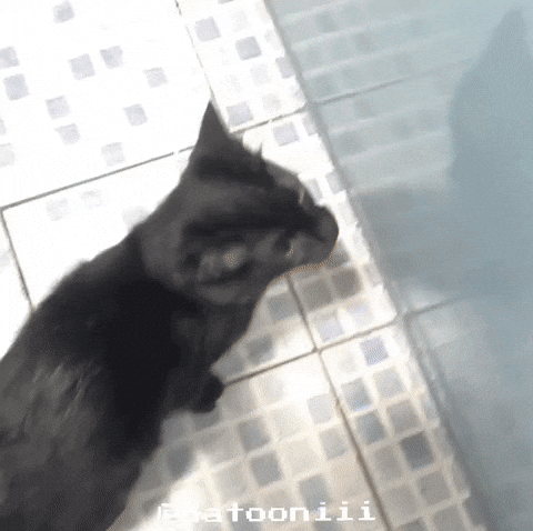 Natooniii GIF