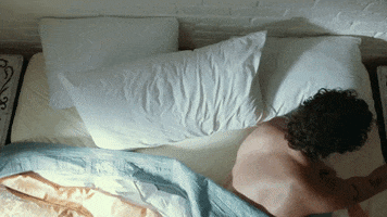 Lotus Daniel Seavey GIF by Why Don't We