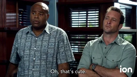 Hawaii Thats Cute GIF by ION