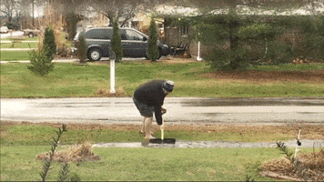 useless GIF