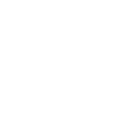 Lopes Unique Sticker