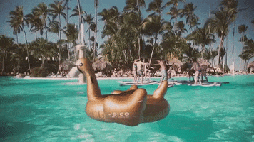 pool party vacation GIF by Joico Hair Care