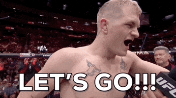 Lets Go Fight GIF by UFC