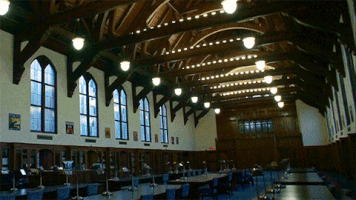 college library GIF by University of Florida