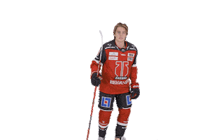 Nhl Draft Celebration Sticker by Örebro Hockey