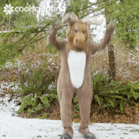 Moose-and-camille GIFs - Get the best GIF on GIPHY