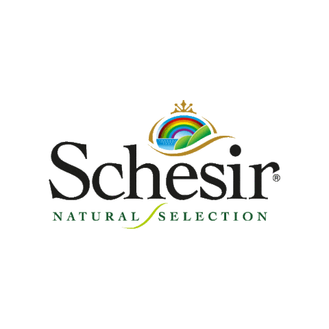 Schesir Sticker