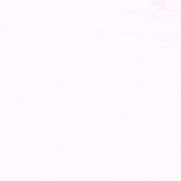 Beach Volleyball GIF by LSU Tigers