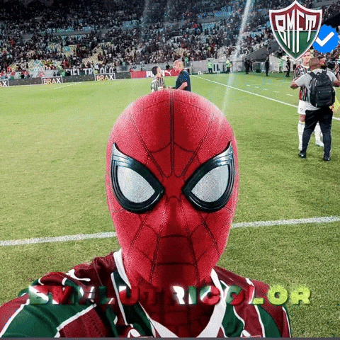 Fluminense GIF