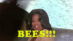Cowboy Bebop Wallpaper Giphy Oprah Bees