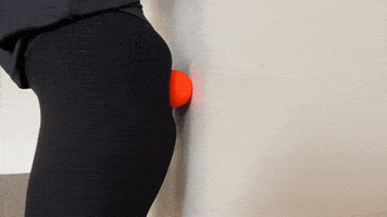 Exercices GIF