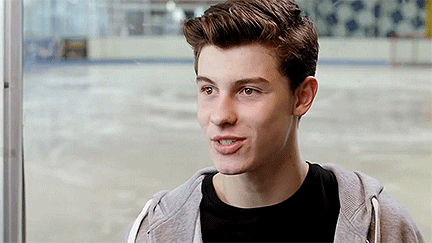 shawn mendes