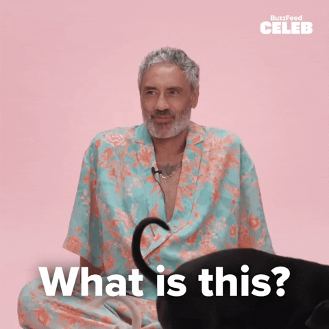 What Is This Puppies GIF by BuzzFeed
