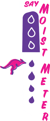 Aussiehairusa Sticker by Aussie