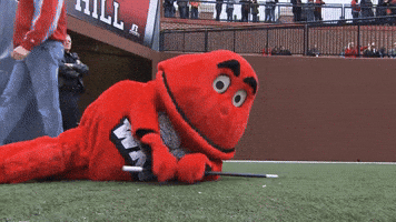 Big Red Point GIF