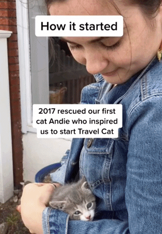 GIF by Your Cat Backpack Travel Cat