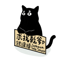 Black Cat Help GIF