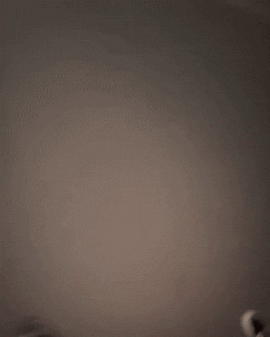 Iliya GIF