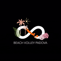 Game Sport GIF by Beach Volley Padova