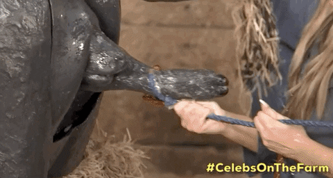 dripping mare gif