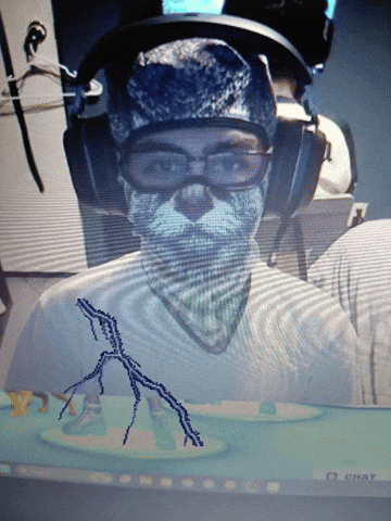 Cat GIF