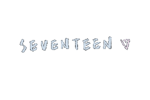 세븐틴 Carat Sticker