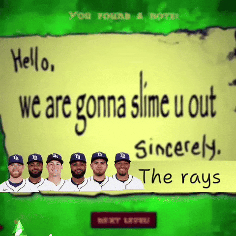 Tampa Bay Rays GIF