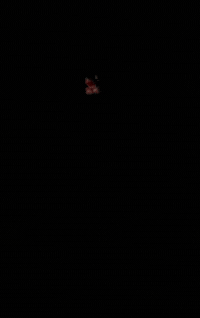 Night GIF