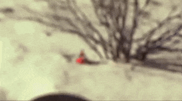 Bob Fosse GIF