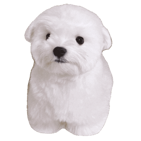 Dog 犬 Sticker