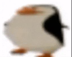 Penguin Flapjack GIF