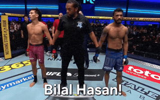 Ufc Mma GIF