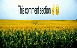 Instagram Cornball GIF