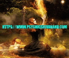 Astrologer In Toronto GIF