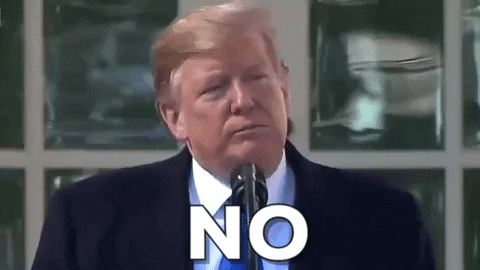 Giphy - Animated GIF