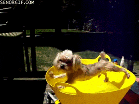 time bath GIF