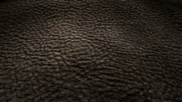 Genuine Leather GIF