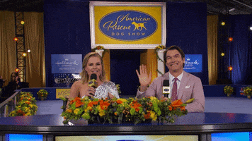 Heart Of Television Dog GIF by Hallmark Channel