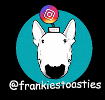 GIF by Frankie's Toasties