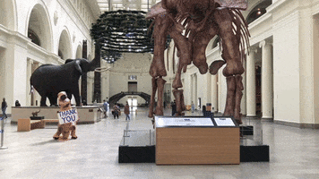 T Rex Running GIF by Field Museum