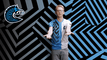 Wtf GIF by BS+COMPETITION