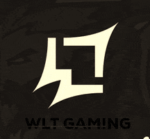 GIF by WLTgaming