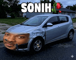 Sonih GIF