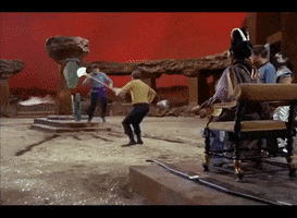Fight GIF